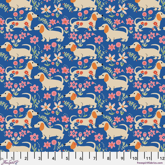 August Ellery Pemberley Pups - Delft