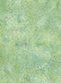 Hoffman Dot Batik 885-106 Celery