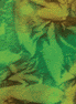 Flannel Leaf Shadow Multi Green