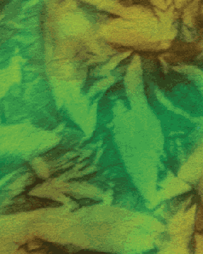 Flannel Leaf Shadow Multi Green