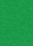 Cotton Shot Shamrock