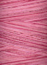 King Tut Wild Rose - #952