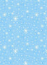 Snow Fun Snowflakes Lt Sky