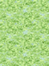 Dragonfly Days Tonal Lt Olive